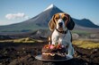 Close-up portrait photography of a curious beagle eating a birthday cake against volcanoes and lava fields background. With generative AI technology