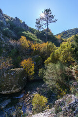 Wall Mural - Mountain creek Ribeira de Leandres of waterfall Poco do Inferno during autumn time in beautiful rocky landscape, Manteigas, Serra da Estrela, Portugal