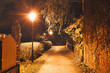 Stadtpark - Nacht - Park - Zossen - Brandenburg - Deutschland - Teltow Fläming - City - Night - Lantern - Germany - Trees - Street Lights - Autumn - Streetlamps	