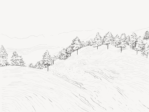 A Drawing Of A Landscape With Trees - Christmas Greetings - a snow covered landscpe