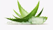 Aloe vera gel splash with aloevera plant isolated on white background.