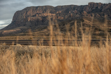 Poster - Golden Grasses Along The Road Side In Big Bend