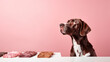 Happy dog at table with assortment of dog treats