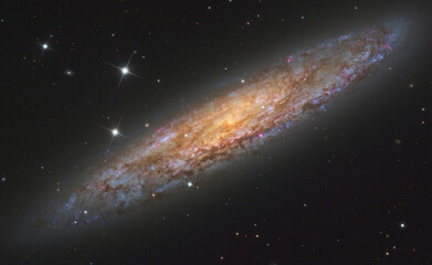 Wall Mural - galaxy ngc 253 silver dollar