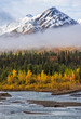 Many Layers of Autumn in Denali