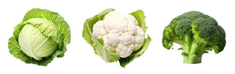Wall Mural - Cabbage, broccoli and cauliflower isolated on transparent background