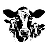 Fototapeta  - Herd Of Cattle