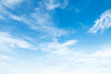 Wall Mural - white cloud with blue sky background.