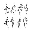 Doodle floral graphic elements. Hand drawn vector botanical flowers, plants and branches illustrations on white background