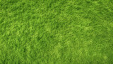 Detailed texture of a green lawn, top view, background, copy space