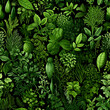 seamless pattern of realistic herbs in a vibrant green