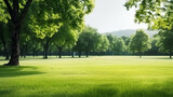 Fototapeta Natura - Beautiful blurred background image of spring nature with a neatly trimmed lawn surrounded by trees against a blue sky with clouds on a bright sunny day.