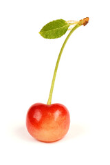 Wall Mural - Light red sweet cherry with green leaves., side view isolated on white. Extrem close-up.