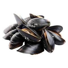 Wall Mural - black mussels