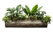 Trough Planter on White or PNG Transparent Background.