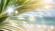 Blur Beautiful Nature Green Palm Leaf On A Tropical Beach With Bokeh Sun Light Abstract Texture Background.