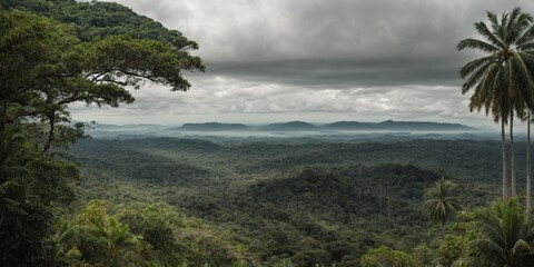 Wall Mural - Spectacular panoramic view of the expansive jungle landscape from a high vantage point - AI Generative