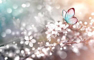 Wall Mural - blossom tree over nature background with butterfly. spring flowers. spring background