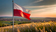Polish flag in the wind