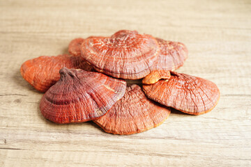 Lingzhi or Reishi mushroom with capsules, organic natural healthy food.