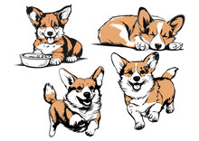Set Of Cute Little Corgis Playing, Lying, Sleeping And Running. Funny Active Dog Or Puppy. Front, Back And Side View Of Adorable Crazy Doggy. Colored Flat Vector Isolated Illustration Of Happy Pet
