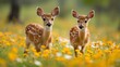 Graceful fawns prancing through a blooming wildflower meadow.