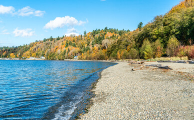 Wall Mural - Park Autumn Shoreline 5