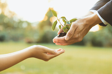 Businessman handing plant or sprout to young boy as eco company committed to corporate social responsible, reduce CO2 emission and embrace ESG principle for sustainable future.Gyre