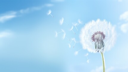 Poster -  a dandelion blowing in the wind with a blue sky in the back ground and clouds in the background.