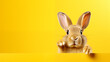 Funny Easter bunny on a yellow background.