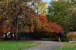Bunte Herbstbäume im Freiburger Stadtgarten