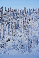 image from a sunday hike to the tjuvaasen hill and osthogda hill, part of the totenaasen hills, norw