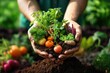 Organic Gardening: Hands Holding Compost with Lush Vegetable Garden Backdrop