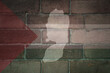 map and flag of palestine on a old brick wall