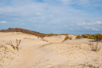 Assateague Island in Fall