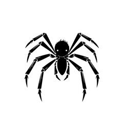 Wall Mural - Spider Vector