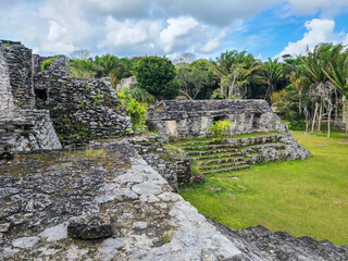 Maya Ruins in the Jungle