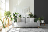 Fototapeta  - Interior of light living room with comfortable grey sofa and houseplants