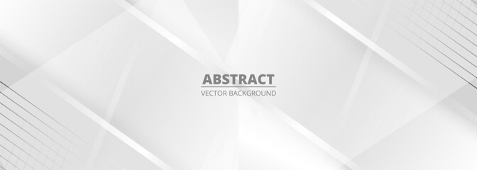 White and gray modern abstract background with geometric diagonal lines and stripes. Vector illustration grey wide banner