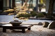 © OhmArt - Zen Garden Gathering: A tranquil setting with a Zen garden and meditation for the New Year.