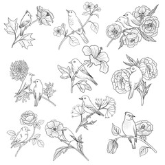 vector drawing birds at tree branch with flowers and leaves, hand drawn illustration for cover design or print