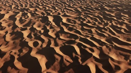 Wall Mural - Aerial top view on sand dunes in Sahara desert, Africa, 4k