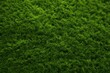lush green backdrop, eco-friendly vibe for sustainability enthusiasts, Generative AI