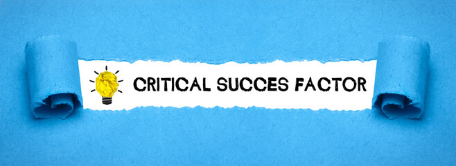 Wall Mural - Critical Success Factor	