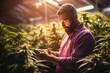 Farmers use agricultural technology to analyze data. Marijuana plants are grown indoors, closed with computer tablets.