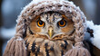 great horned owl HD 8K wallpaper Stock Photographic Image 