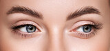 Fototapeta  - Beautiful female eyes with long eyelashes. Eyelash extensions. Makeup, cosmetics, beauty. Close up, macro