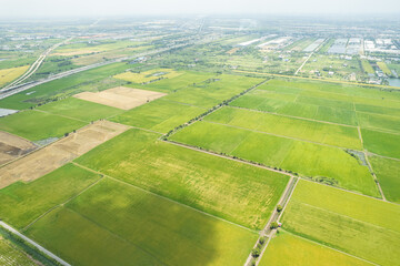 Wall Mural - aerial view from flying drone of Field rice with landscape green pattern nature background, top view field rice