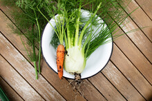 Carrot And Fennel On Plate