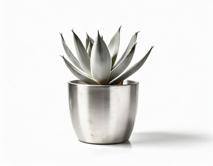 Agave and pot made from brushed aluminium